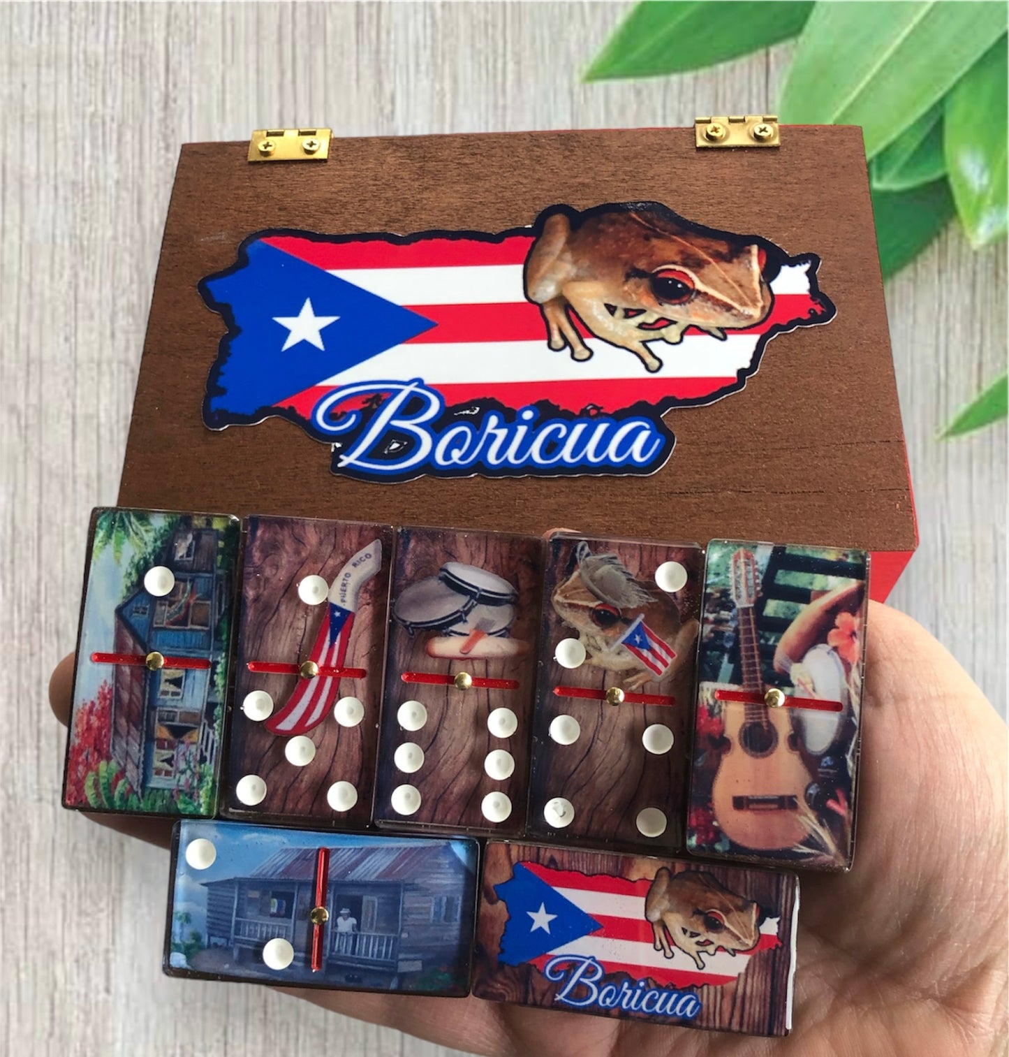 typical things from Puerto Rico