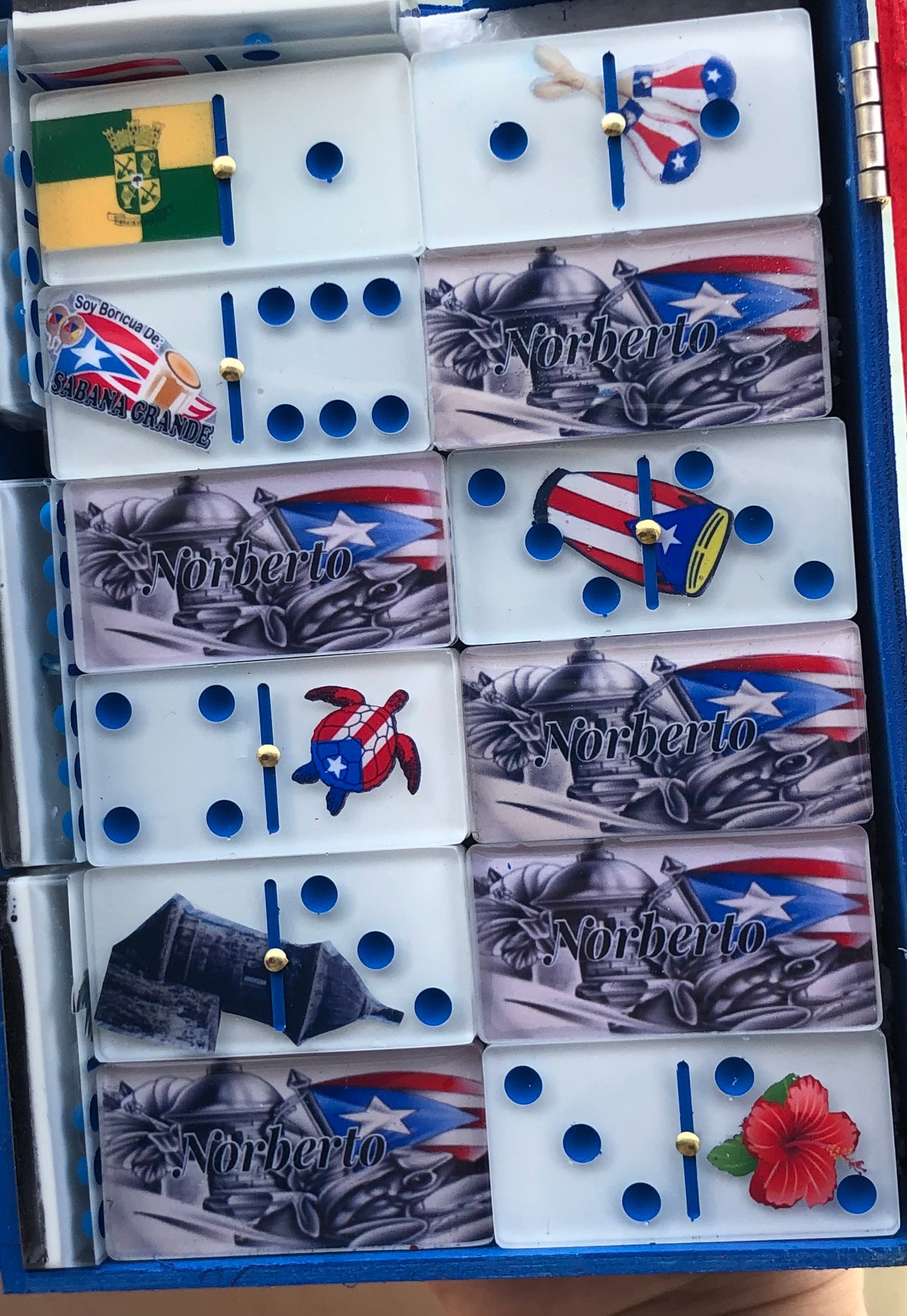 Dominoes doble 6 con cosas típicas de Puerto Rico