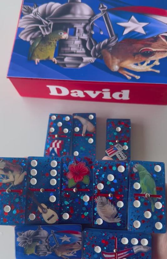 Dominoes doble 6 images of typical things from Puerto Rico
